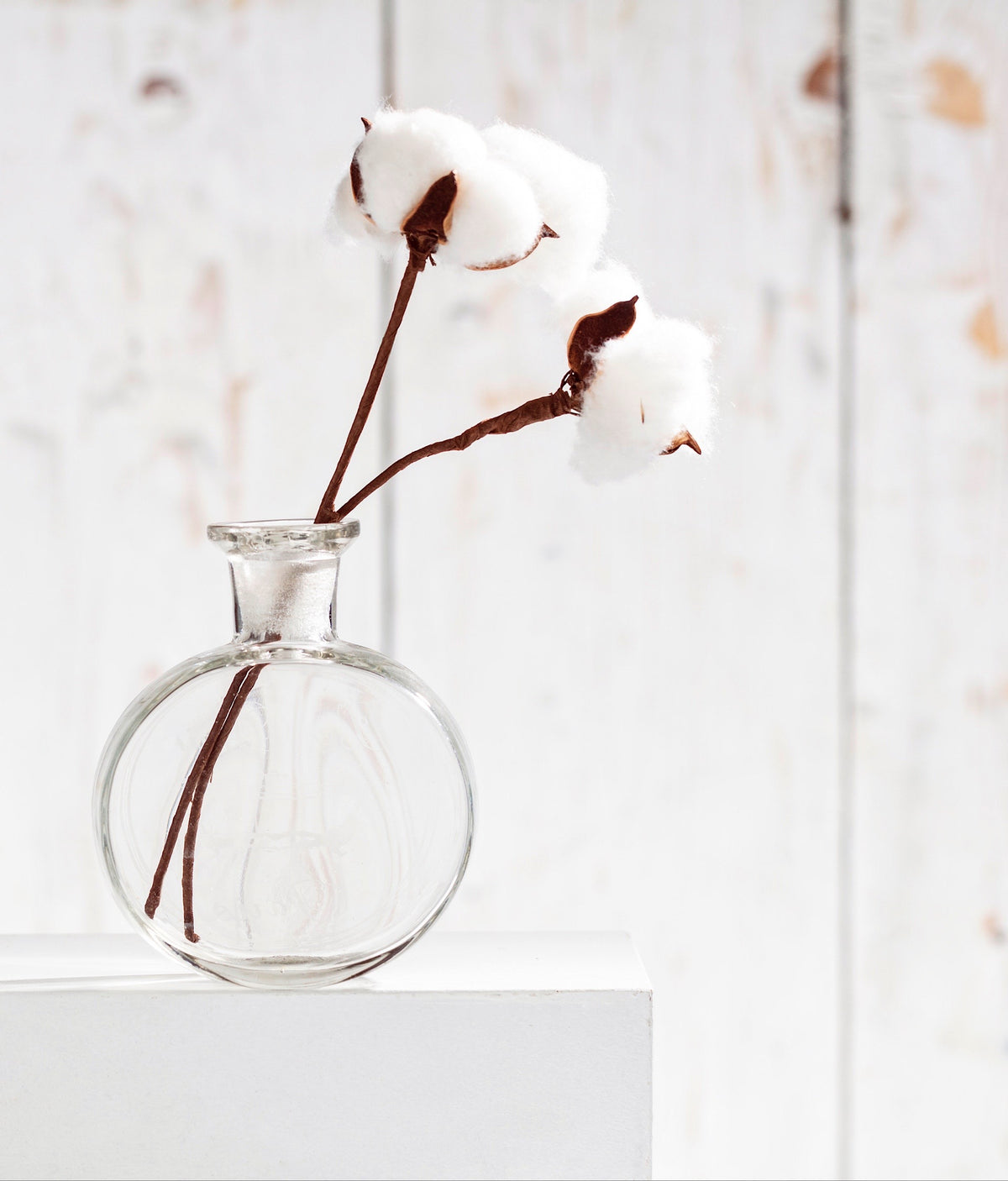 Cotton