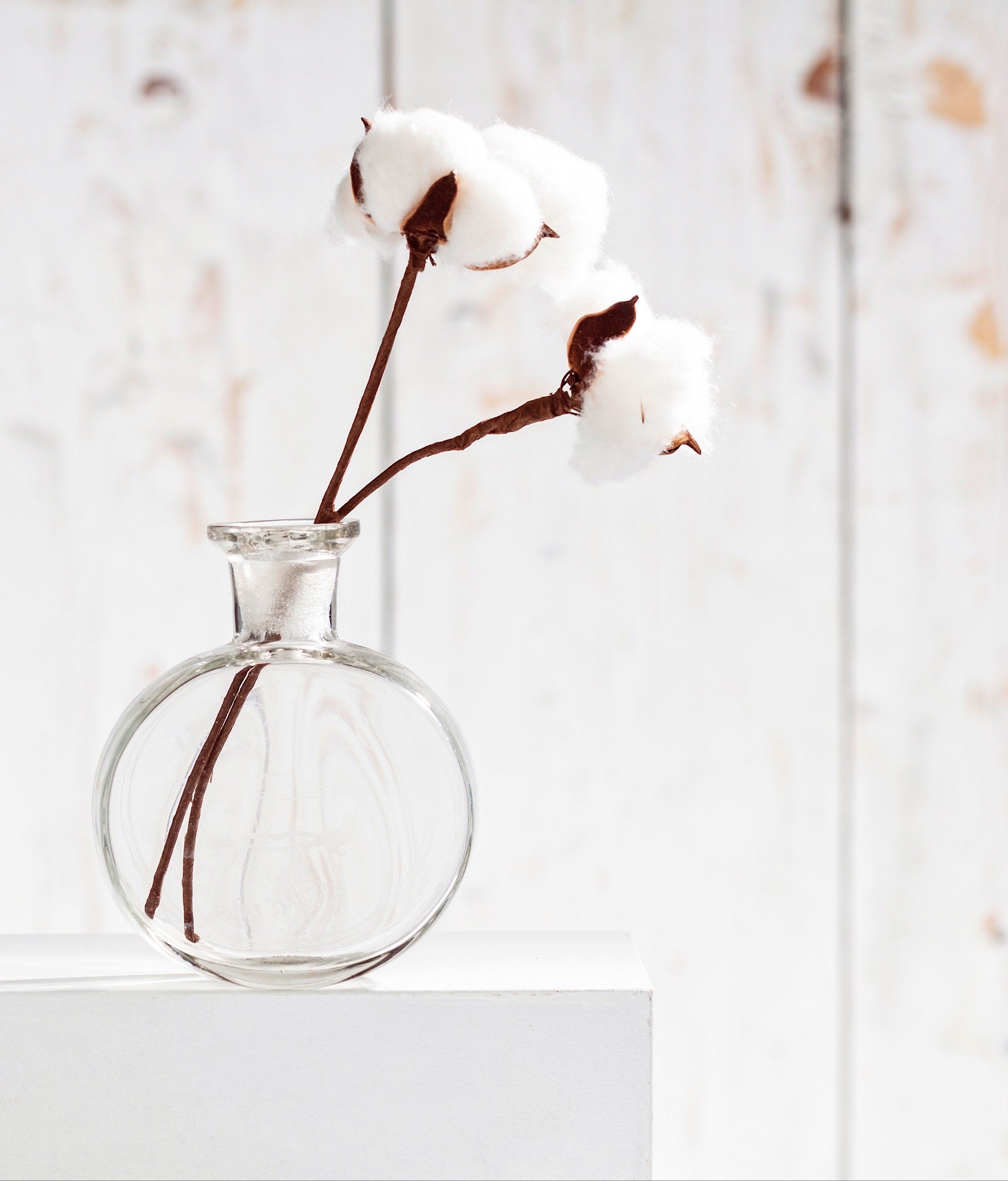 Cotton