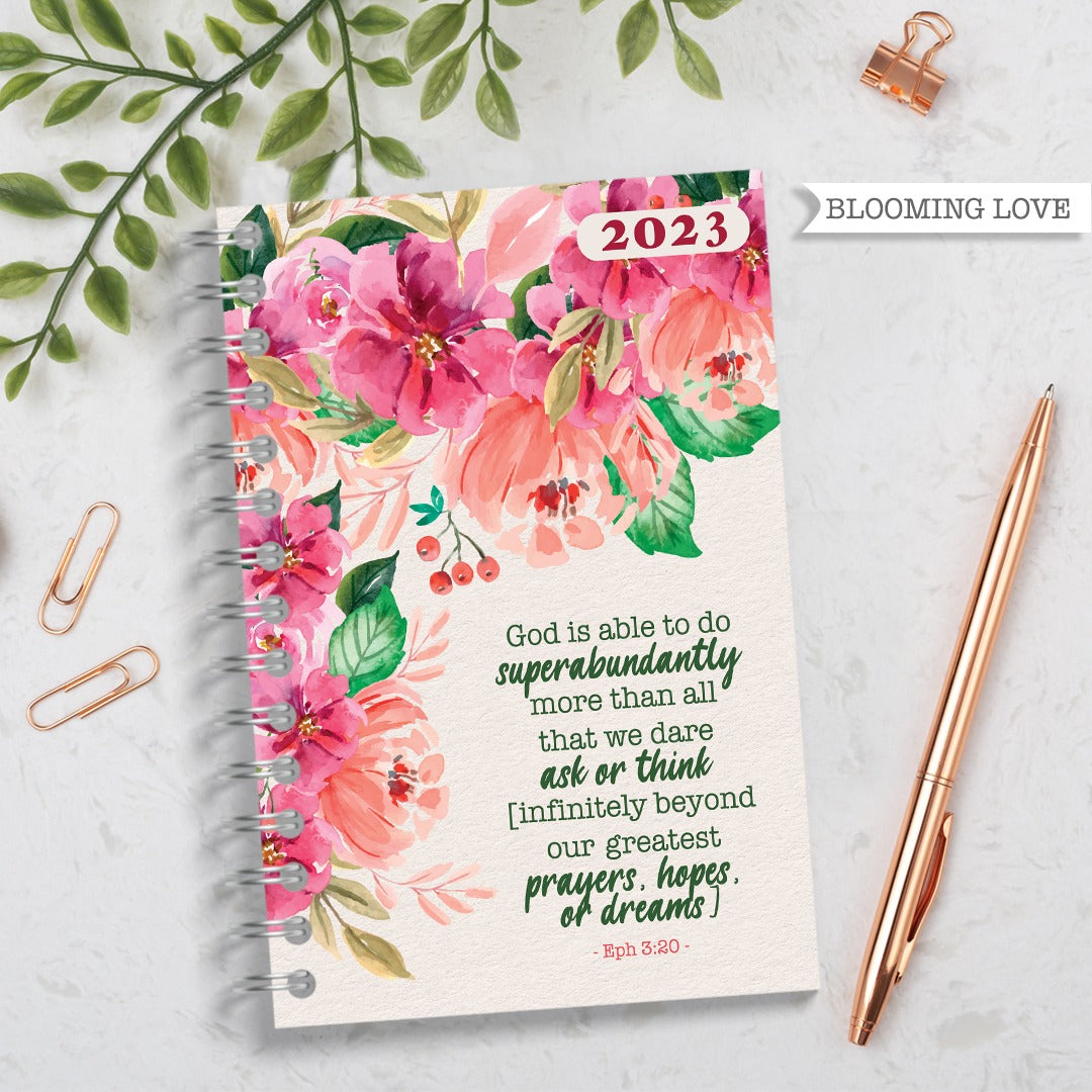 2023 Diaries