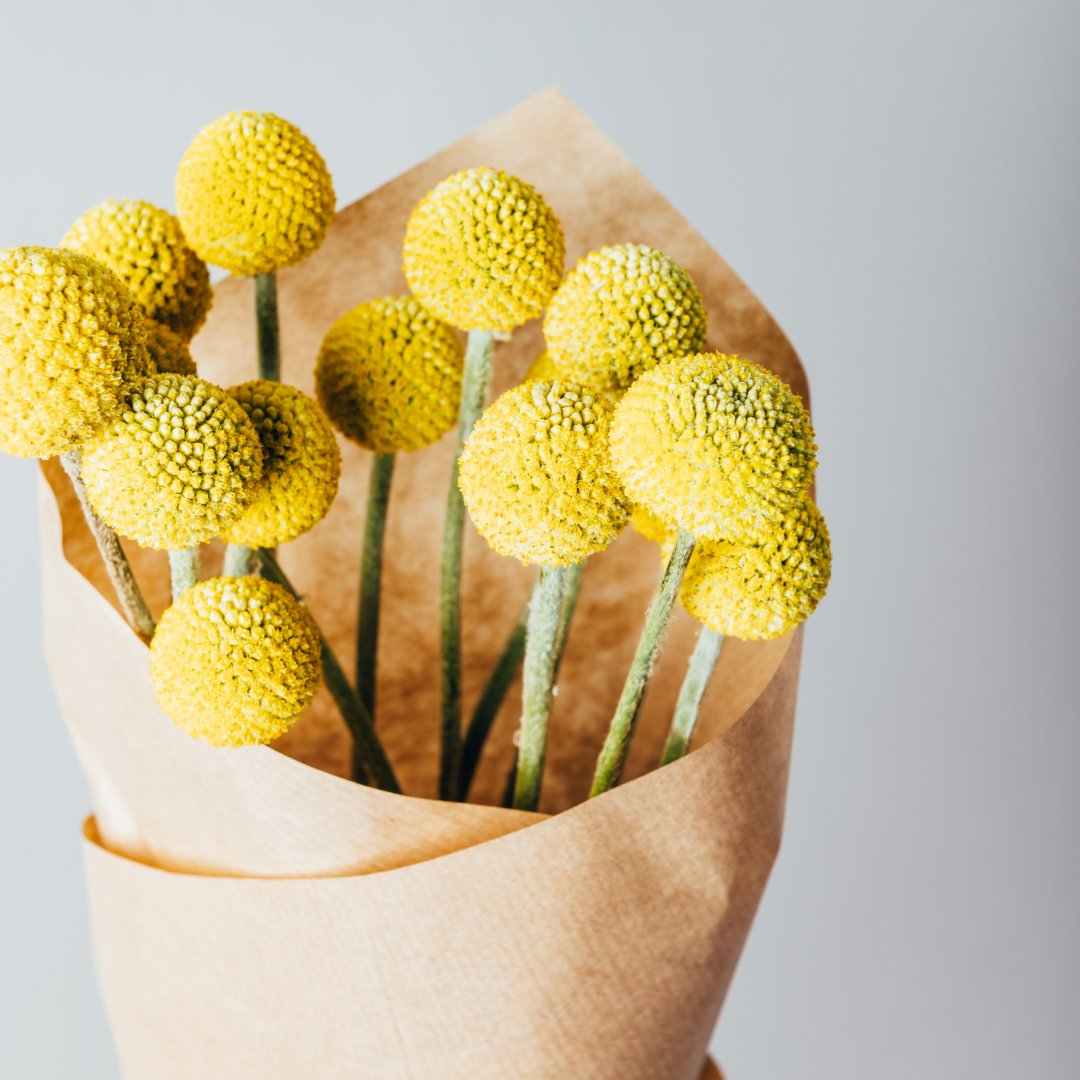 Yellow Flowers