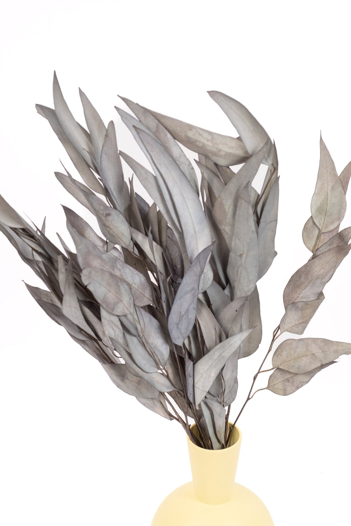 Grey Flowers