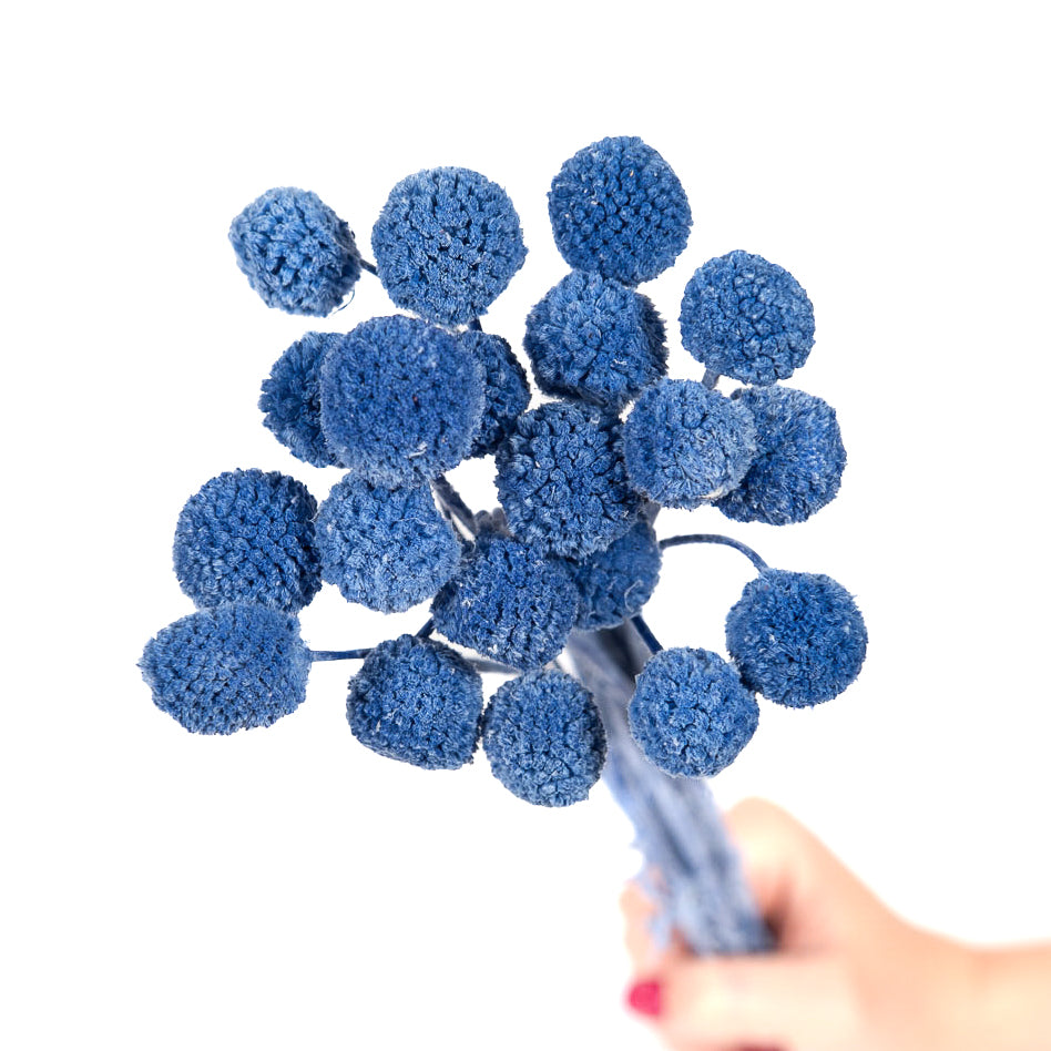 Blue & Navy Flowers