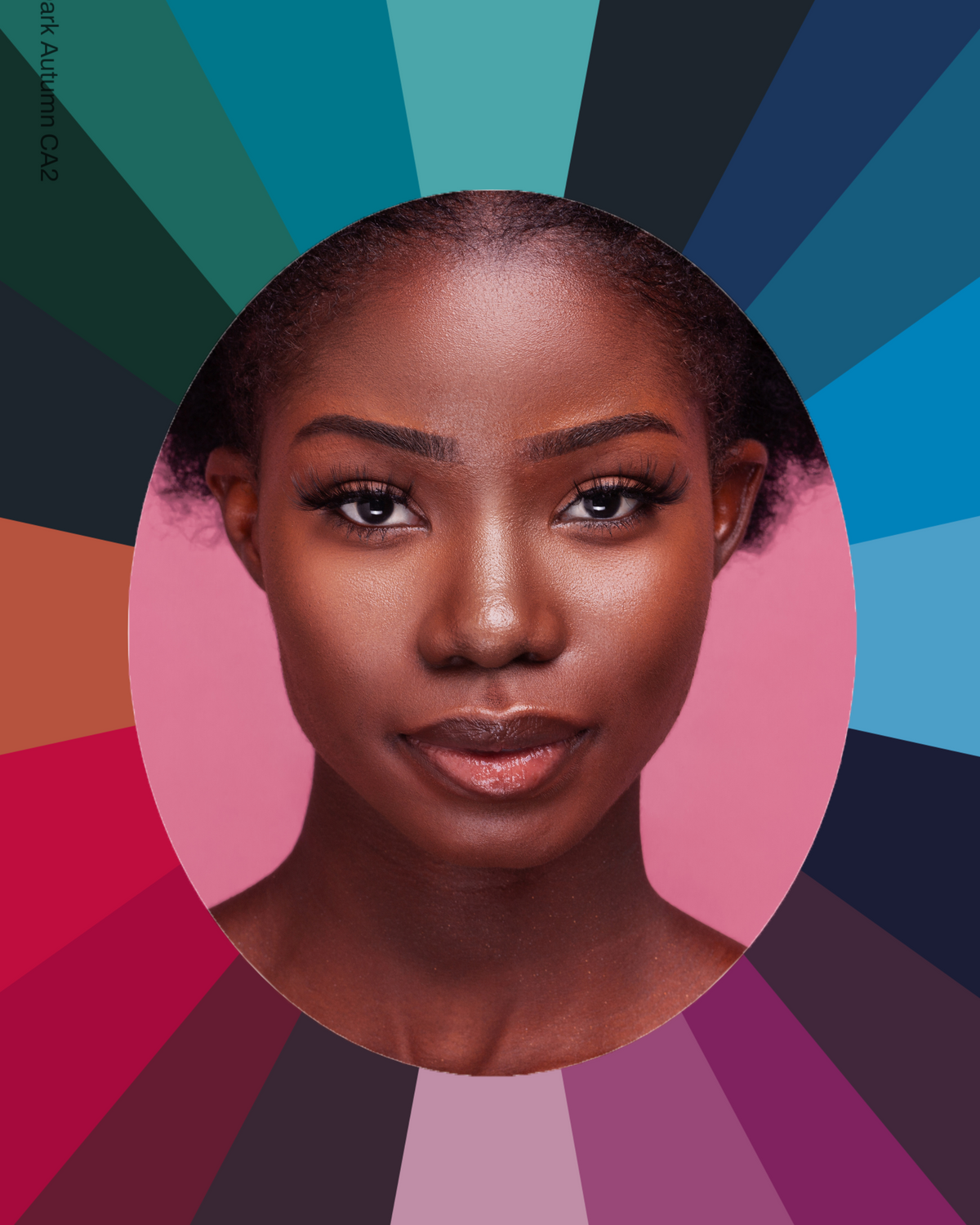 Digital Colour Analysis