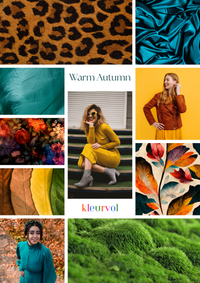 Warm/True Autumn - Makeup Guide (6x brands)