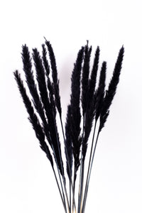 Black Mini Pampas
