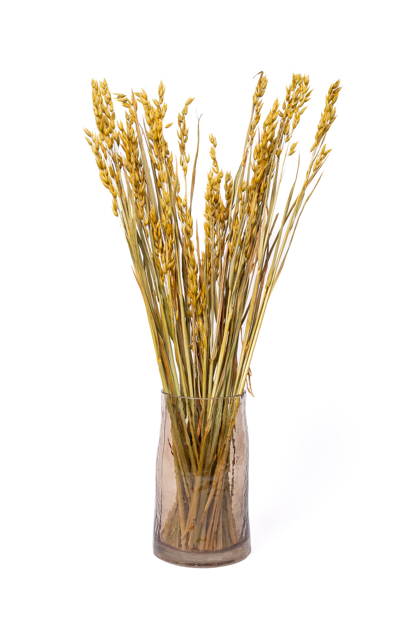 Ochre Oat Flower