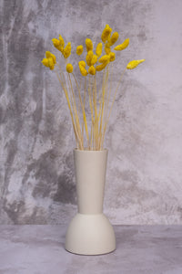 Yellow Gem Grass (Textured Bunny Tails)