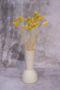 Yellow Gem Grass (Textured Bunny Tails)