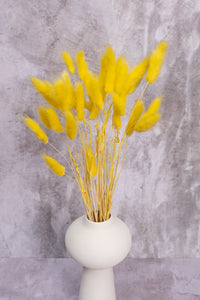 Yellow Bunny Tails