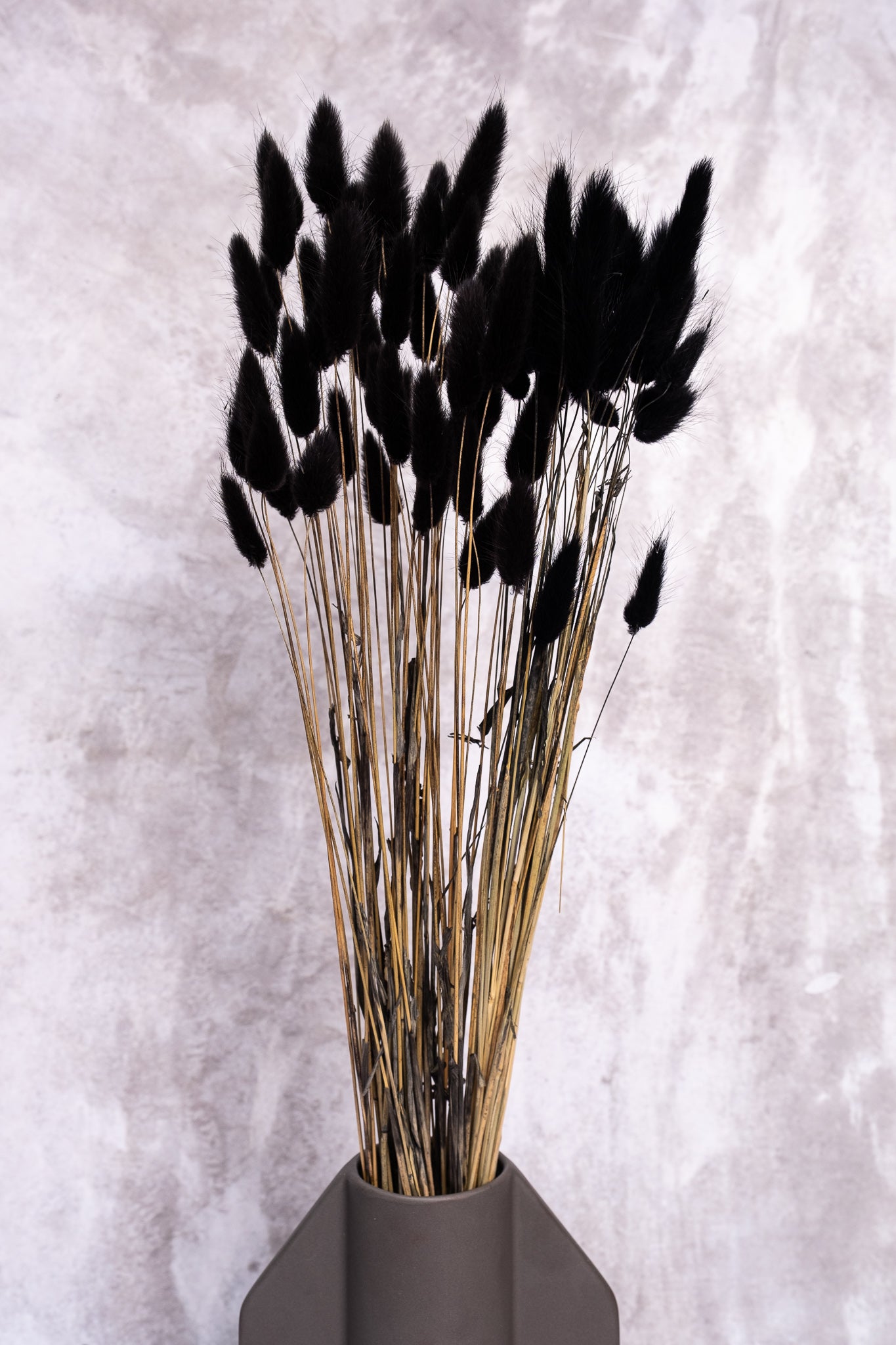 Black Bunny Tails