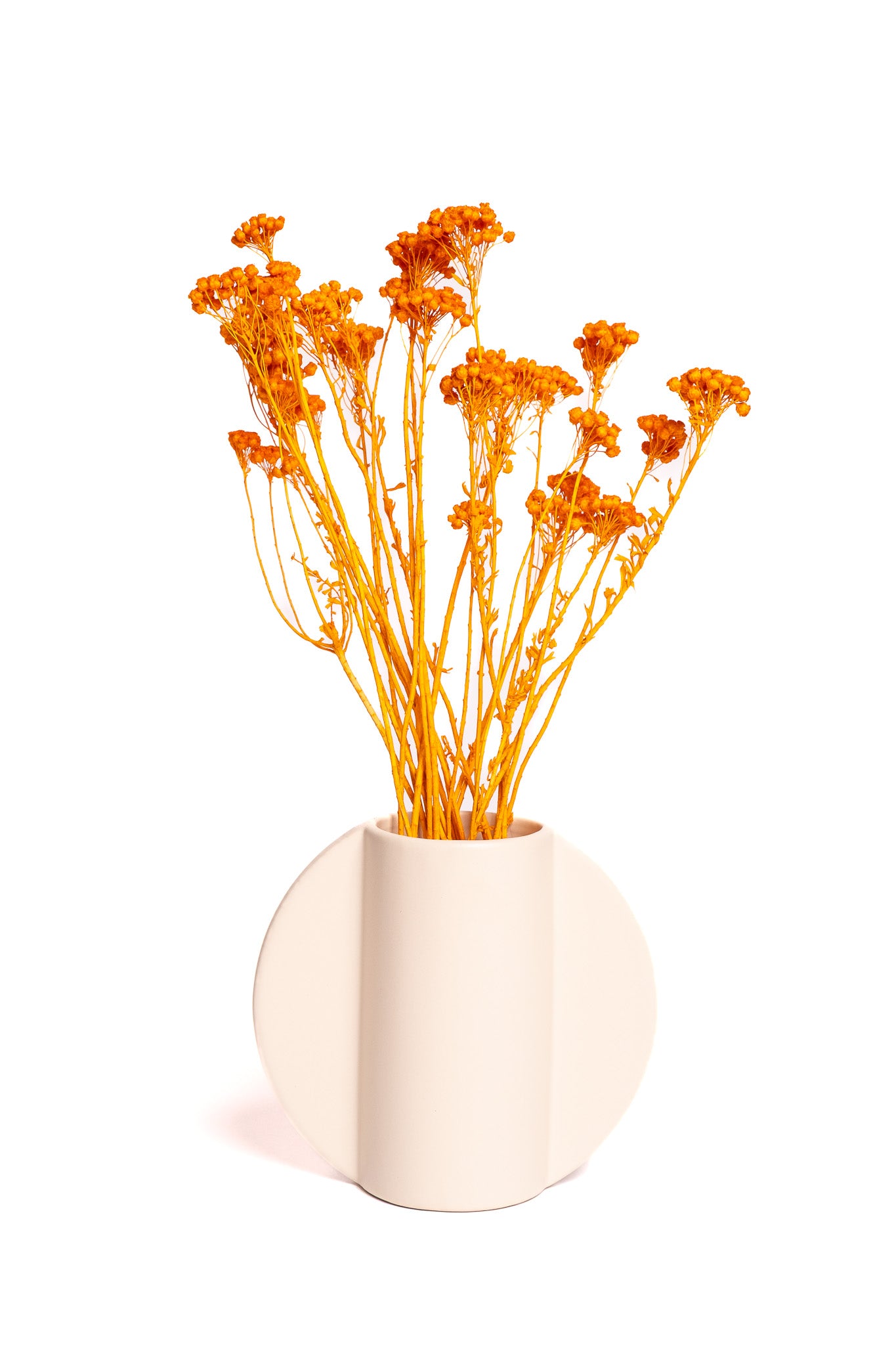 Orange Klaas Louw