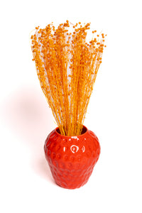 Happy Orange Flax
