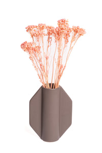 Light Pink Klaas Louw