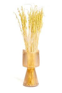 Light Chartreuse Oat Flower