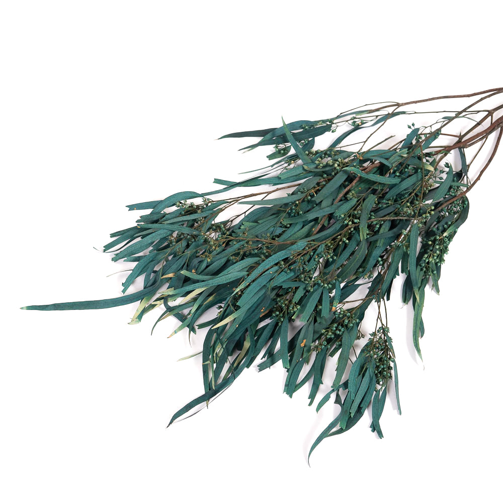 Dark Teal Blue Seeded Gum