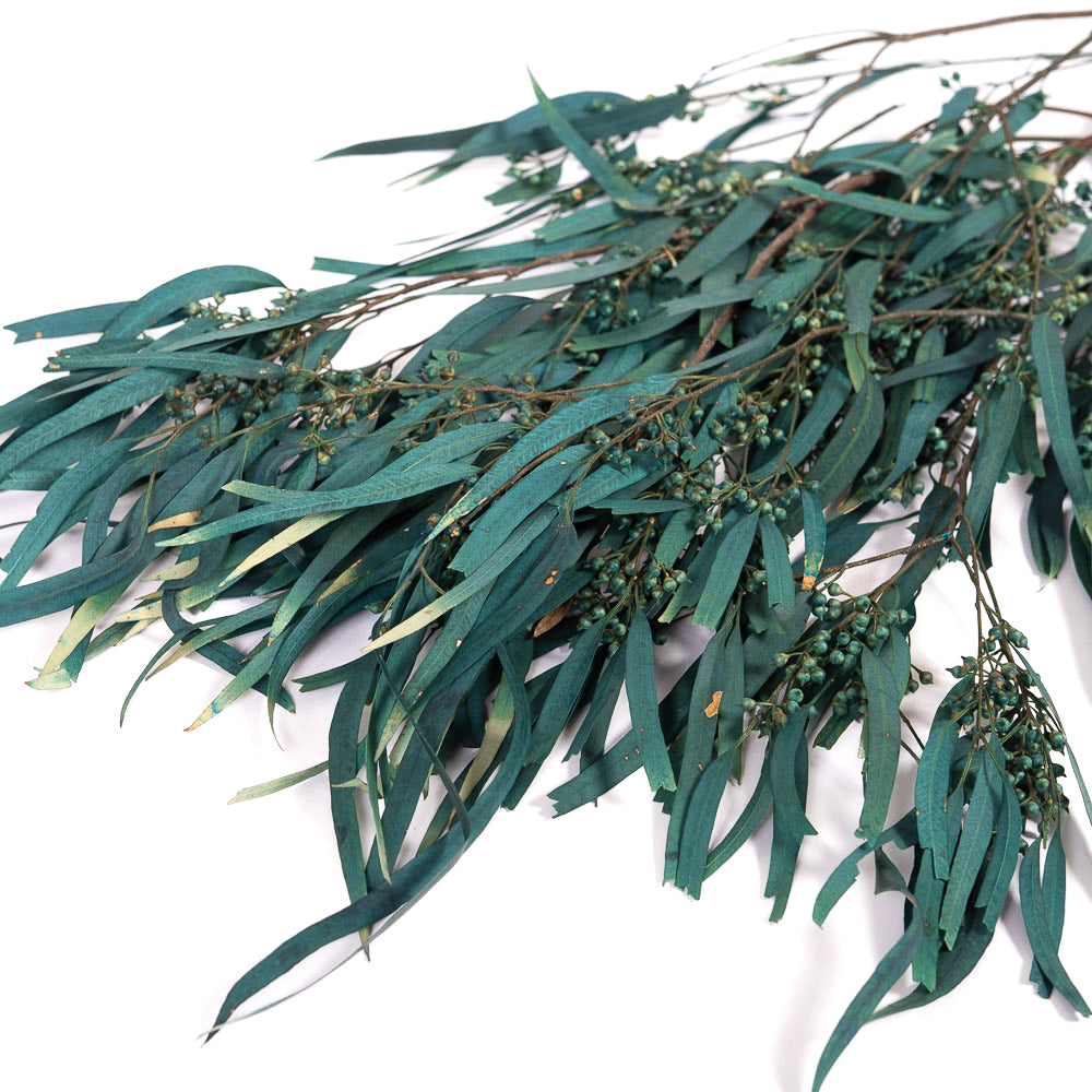 Dark Teal Blue Seeded Gum