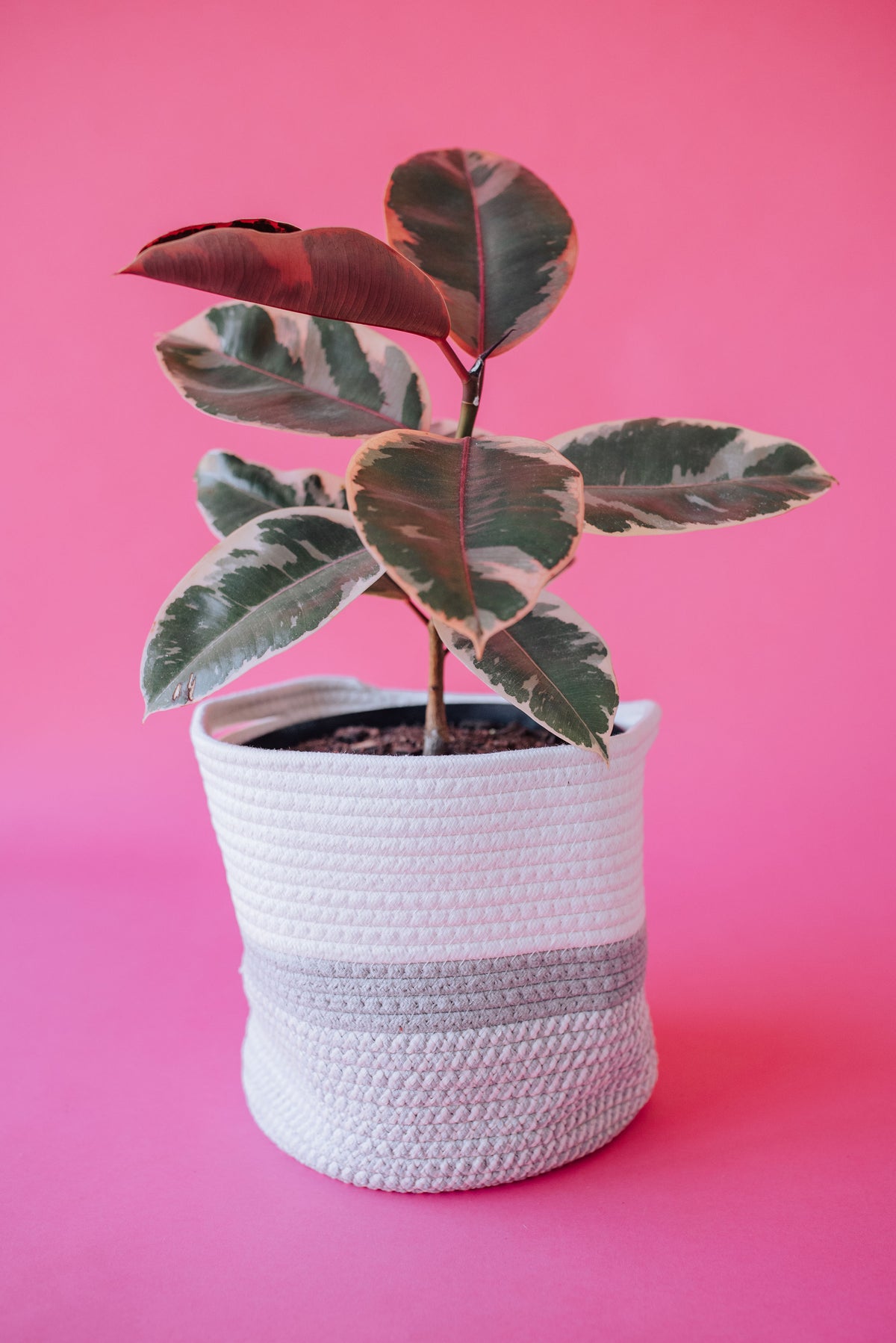 Grey Light Two-Tone Basket (Medium)