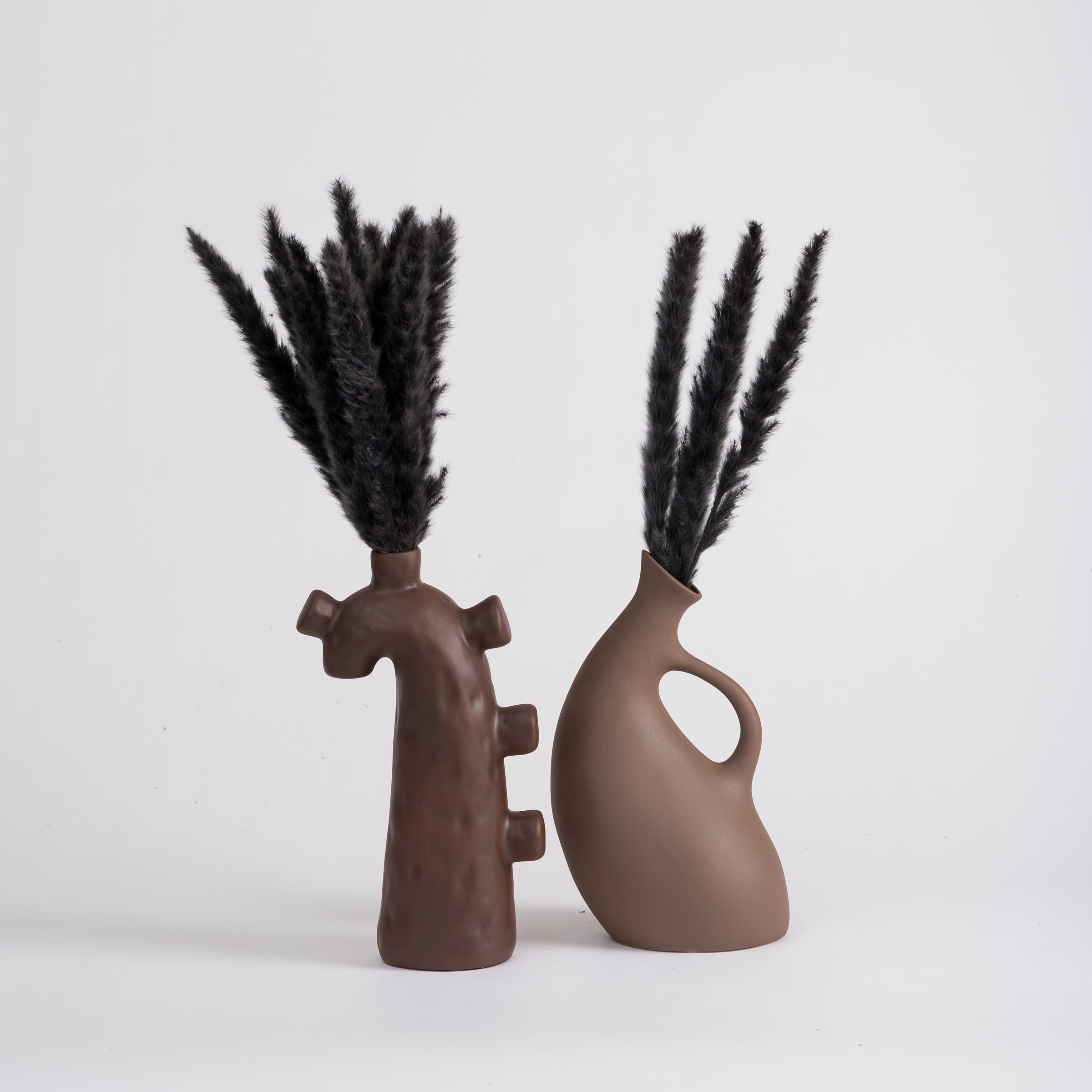 Black Mini Pampas