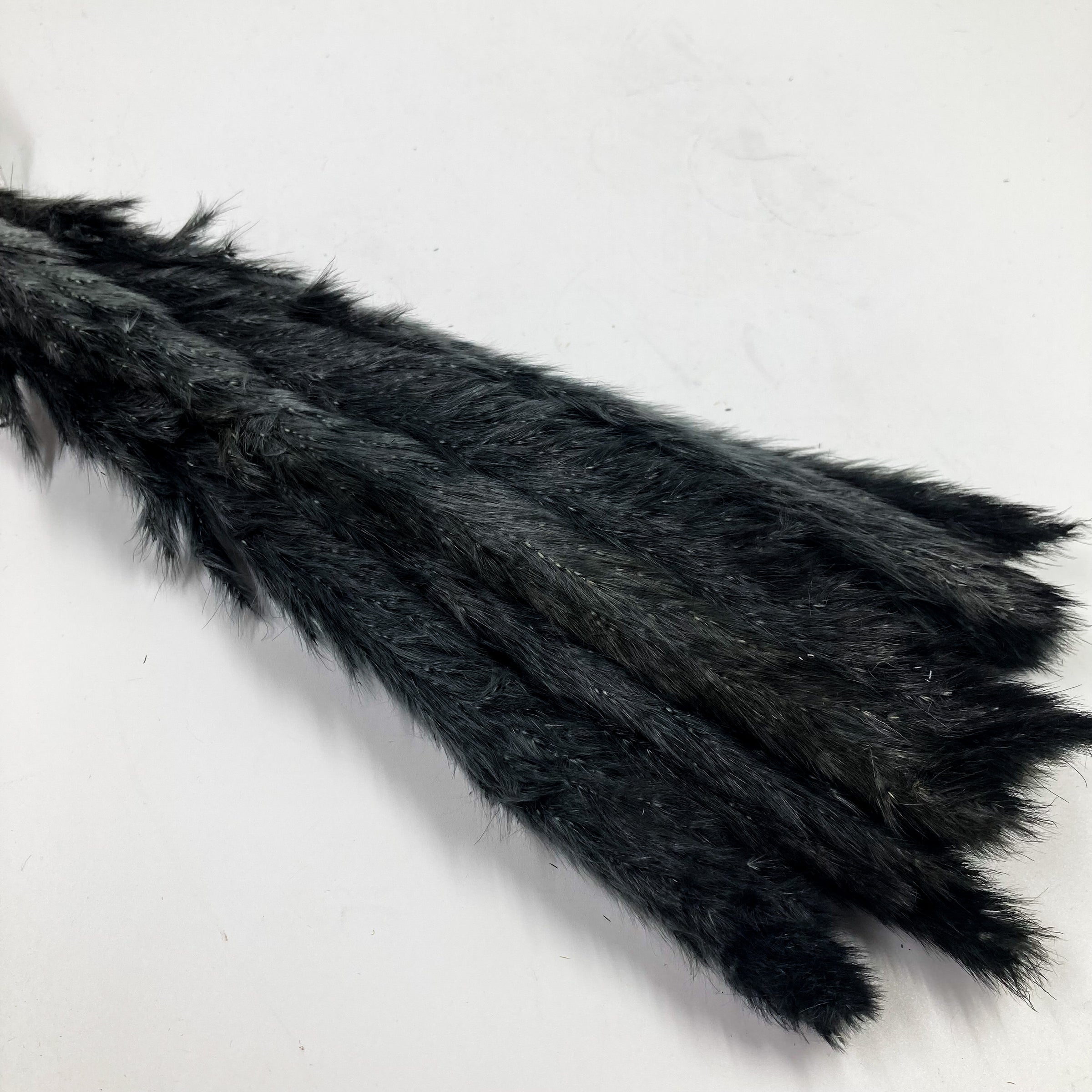 Black Mini Pampas