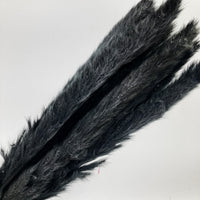Black Mini Pampas